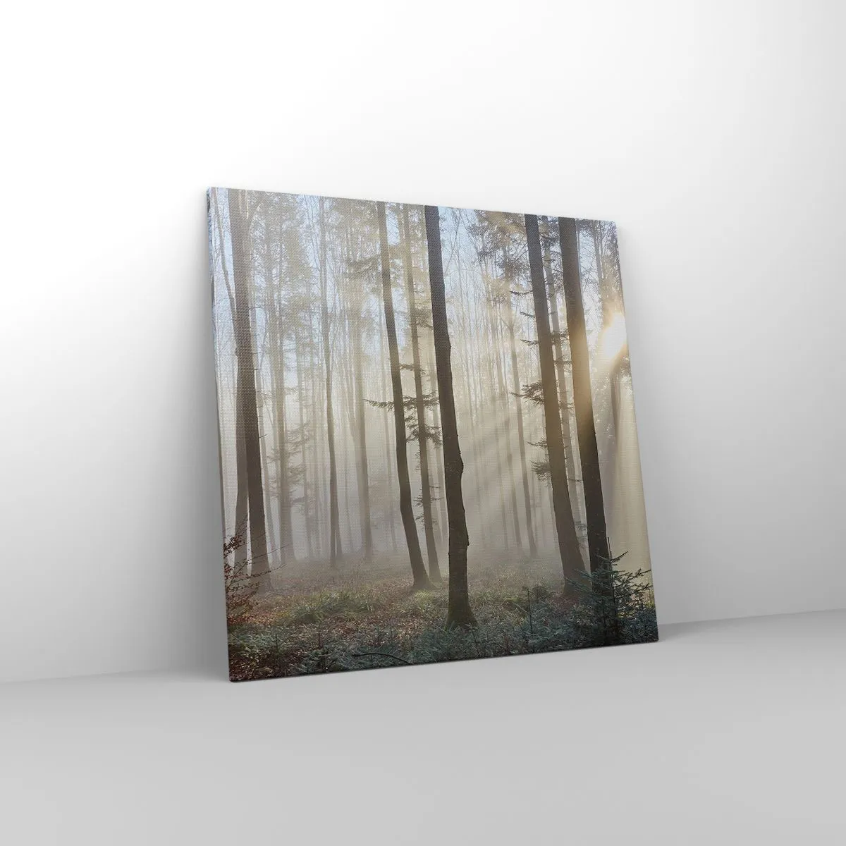 Obraz na plátně - Mlha se také vzbudila - 70x70 cm