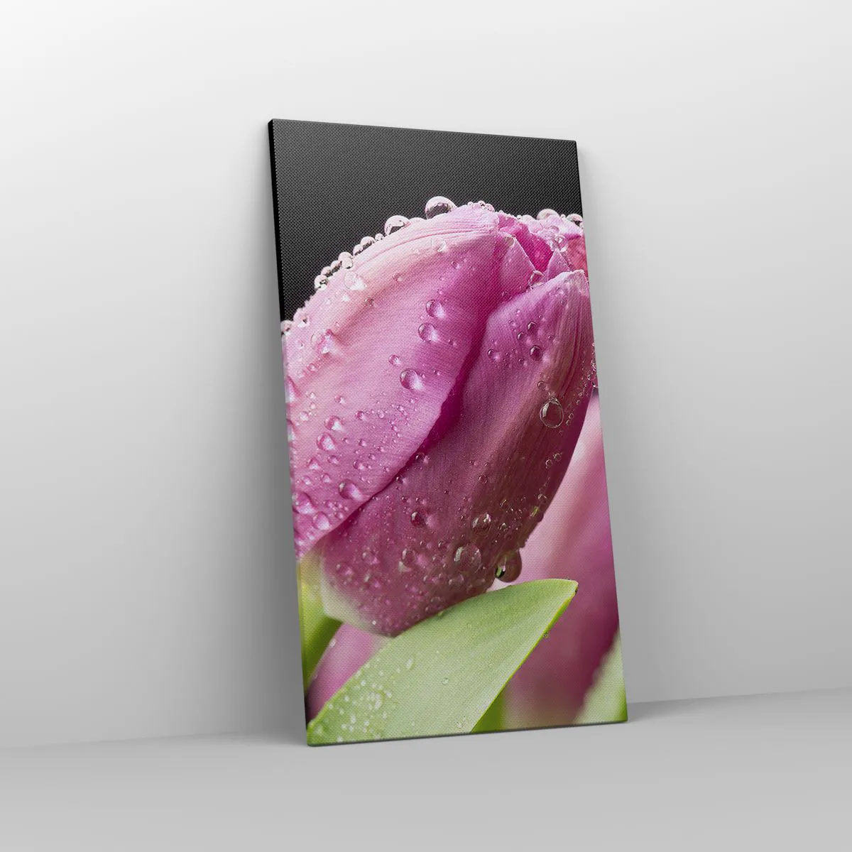 Cuadro sobre lienzo - Impresión de Imagen - Un sueño de lilas en el rocío - 45x80 cm