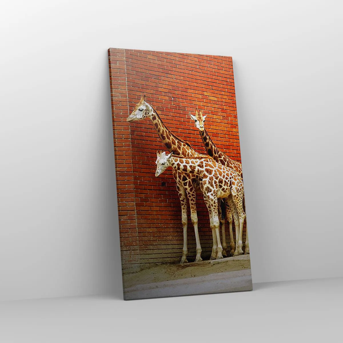 Vászonkép - Láttok akácot? - 45x80 cm