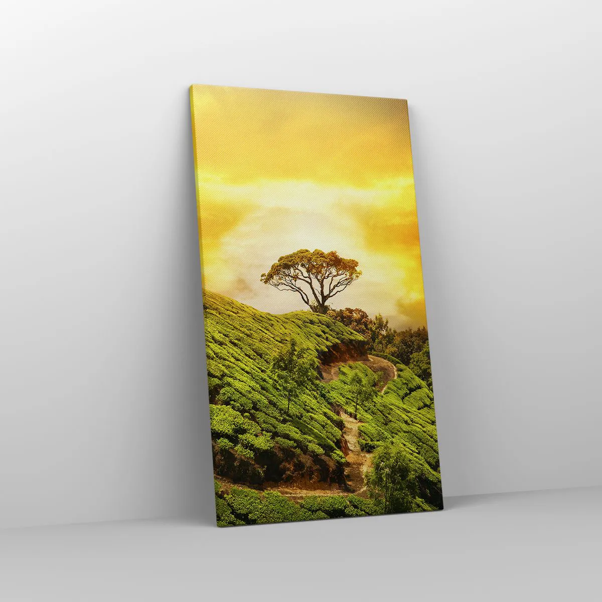 Schilderen op canvas - Een kronkelend pad, een groene helling - 45x80 cm