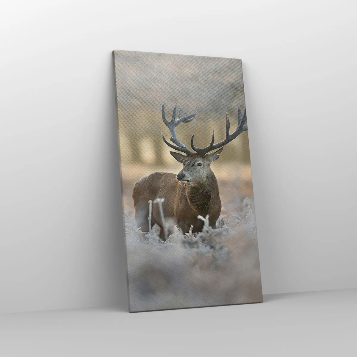 Impression sur toile - Image sur toile - Une matinée animée - 45x80 cm