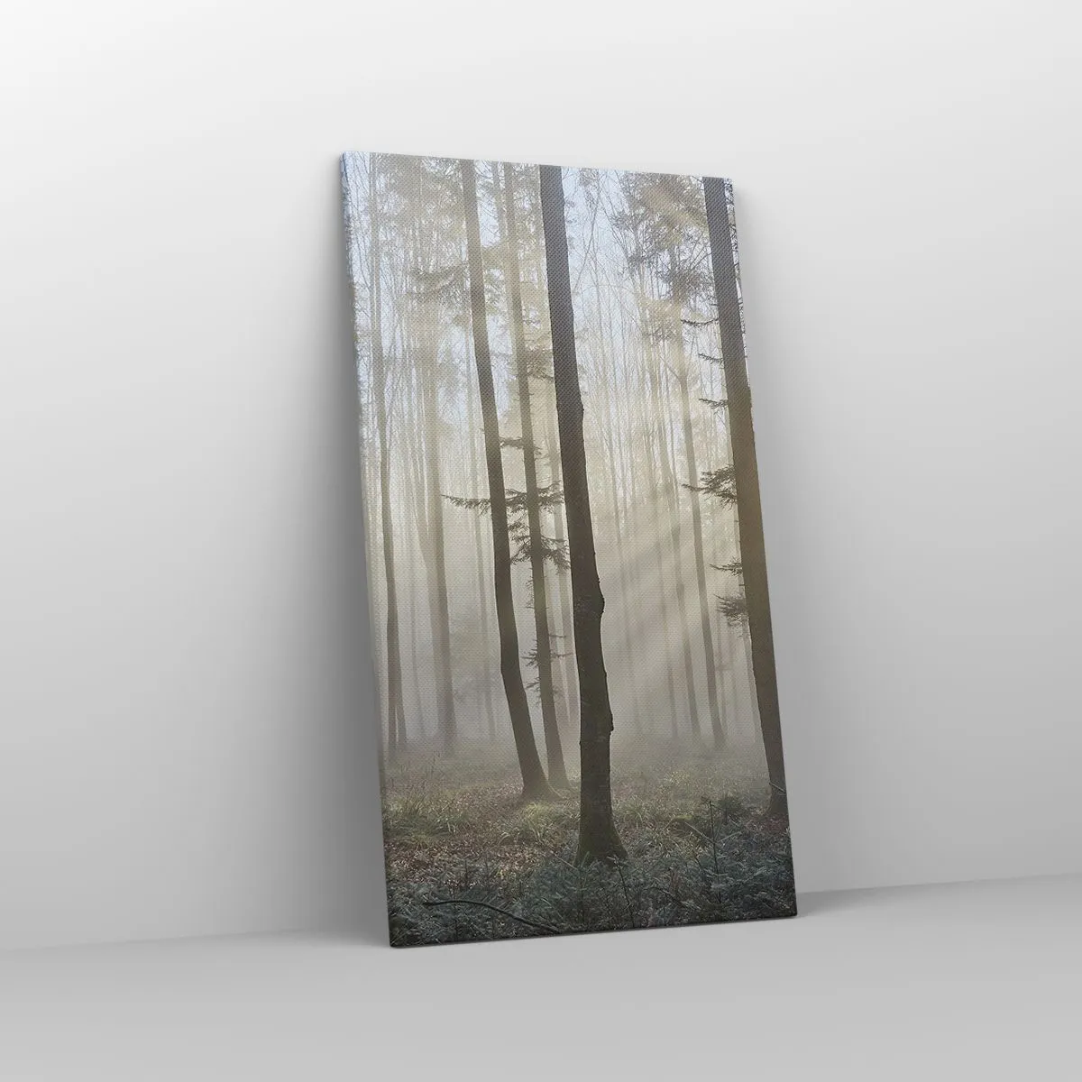 Impression sur toile - Image sur toile - Le brouillard s'est aussi réveillé - 45x80 cm