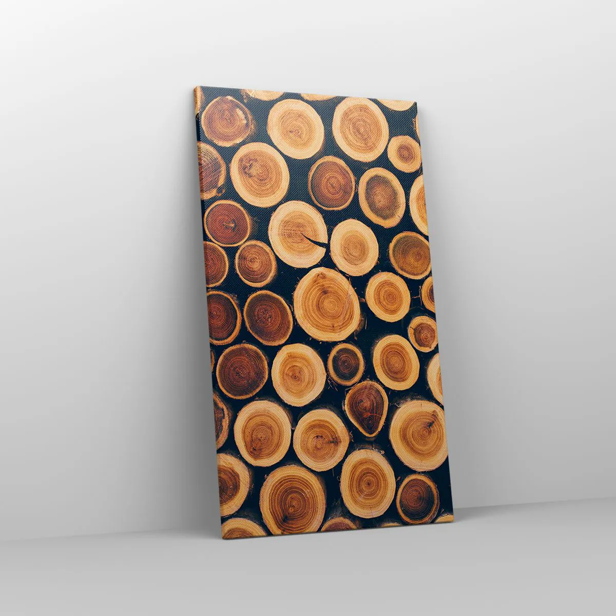 Impression sur toile - Image sur toile - Quel âge je semble avoir ? - 45x80 cm