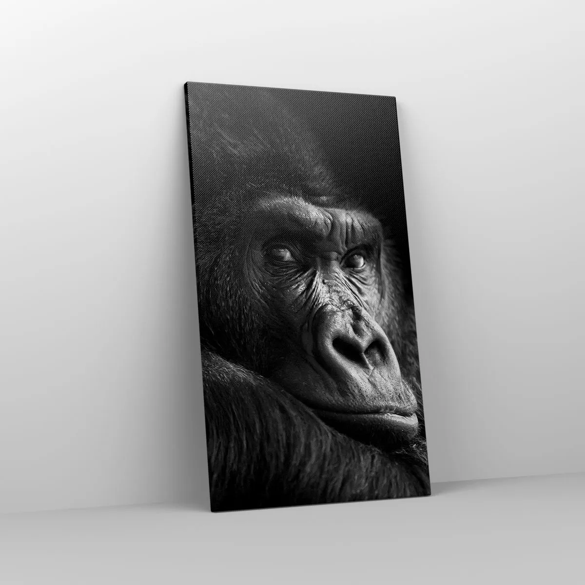 Impression sur toile - Image sur toile - Et qu'est-ce que tu regardes? - 45x80 cm