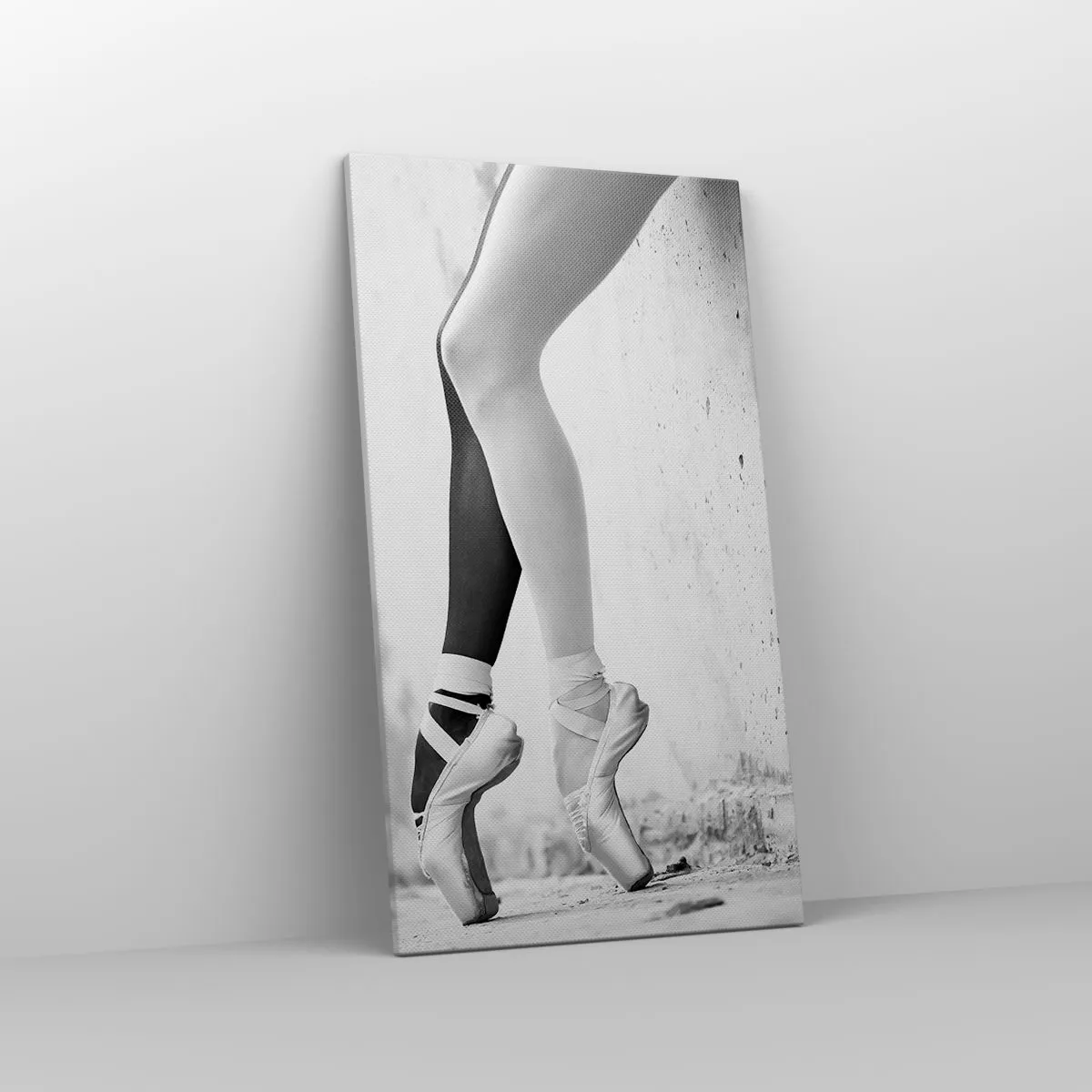 Impression sur toile - Image sur toile - Ballerine, voilà ! - 45x80 cm