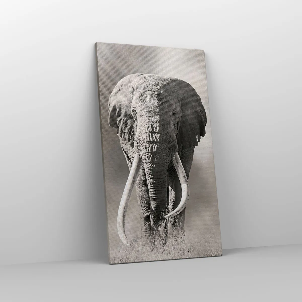 Vászonkép - Afrikai patriarcha - 45x80 cm