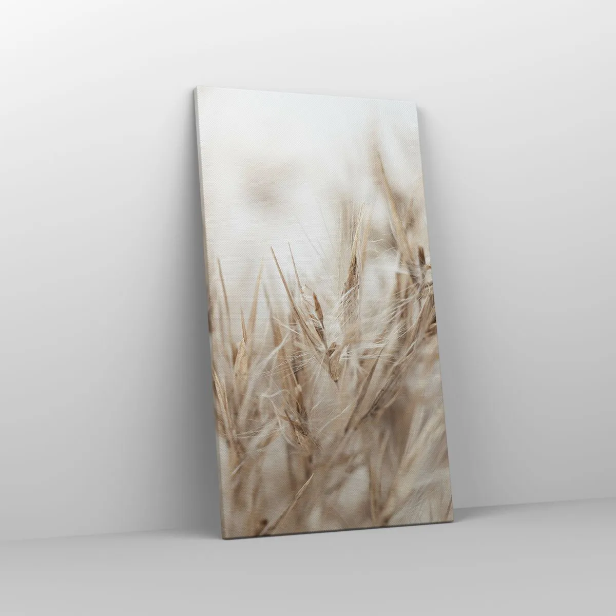 Impression sur toile - Image sur toile - Prairie et vent - 45x80 cm