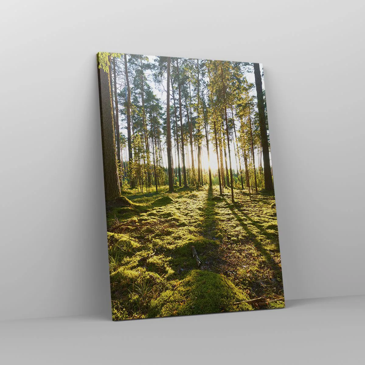 Quadro su tela - Stampe su Tela - Foresta verde illuminata dalla luce del sole sul muschio - 50x70cm - …dopo sette foreste - Decorazione murale moderna per soggiorno e camera da letto ARTTOR