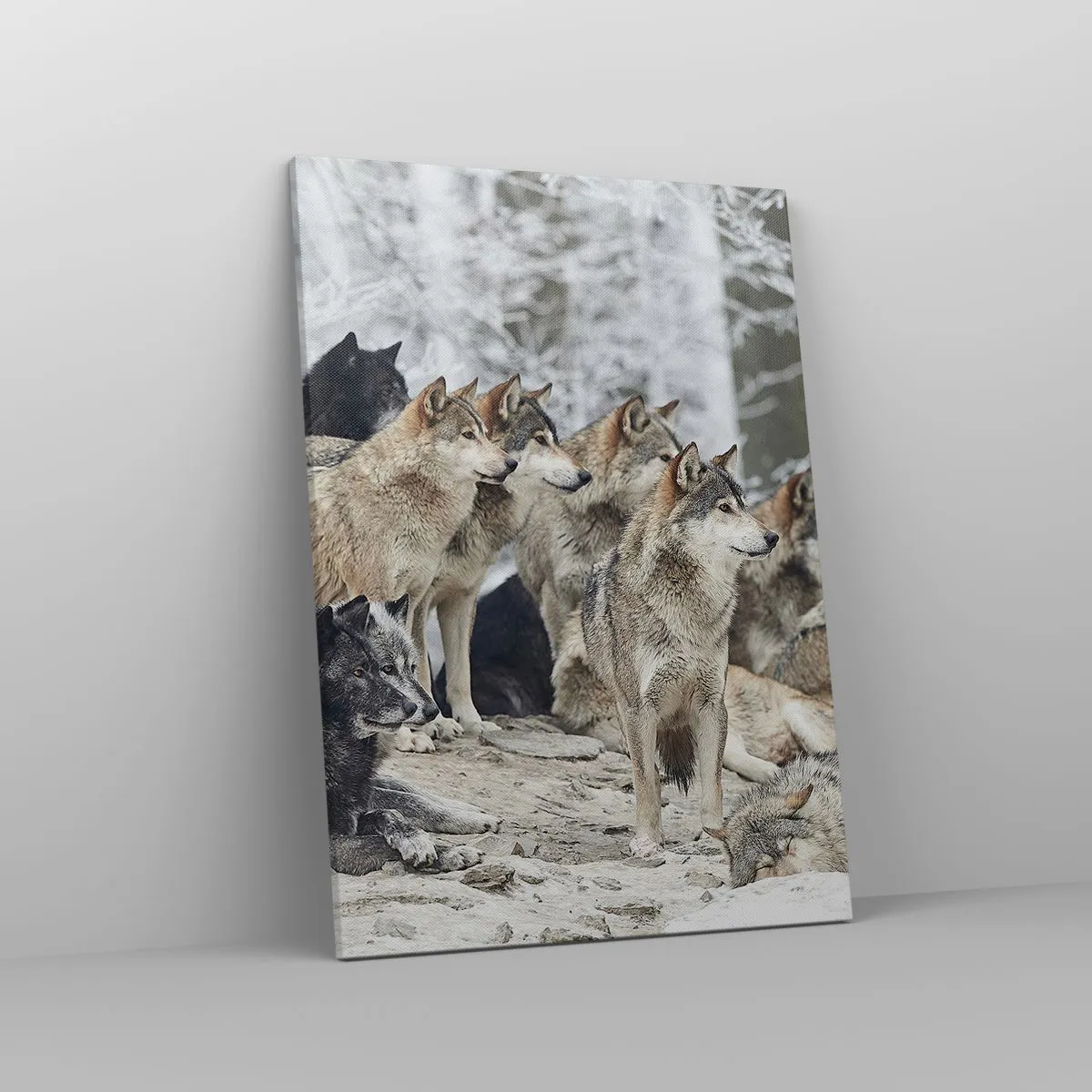 Bild auf Leinwand - Leinwandbild - Ein Wolfsrudel im Winterwald - 50x70cm - Familie und Freunde - Moderne Wanddekoration für Wohnzimmer und Schlafzimmer ARTTOR