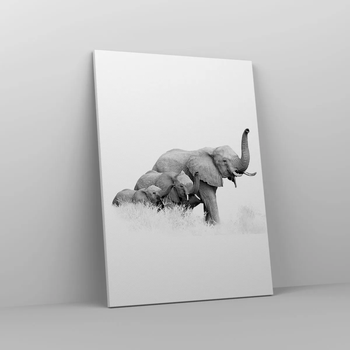 Canvas picture - One, Two, Three - 50x70 cm