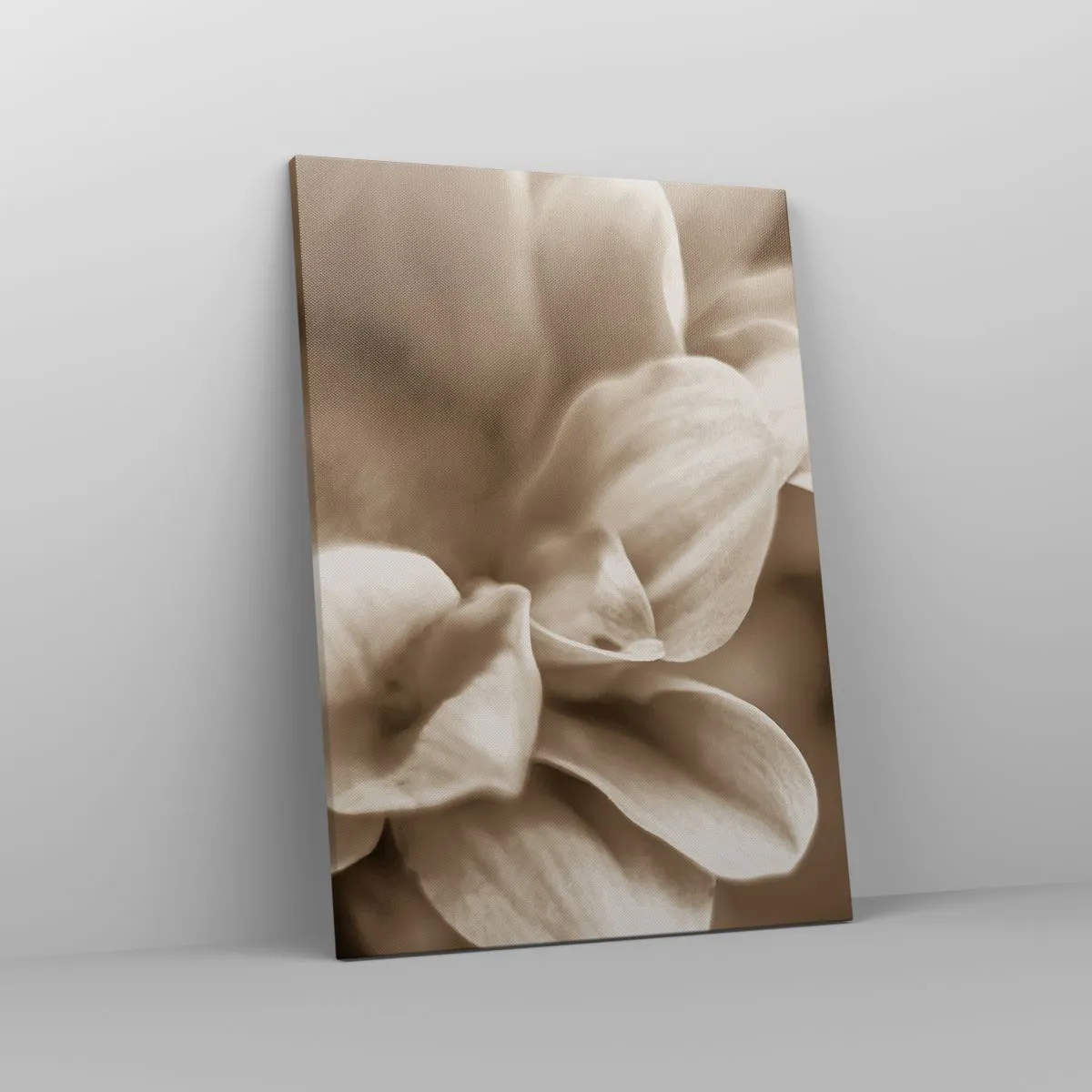 Vászonkép - Gyengéd, mint egy mosoly - 50x70 cm