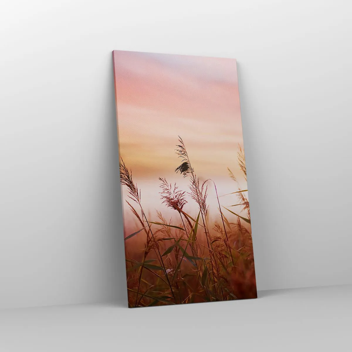 Obraz na plátně - Draci, pampelišky a vítr - 55x100 cm