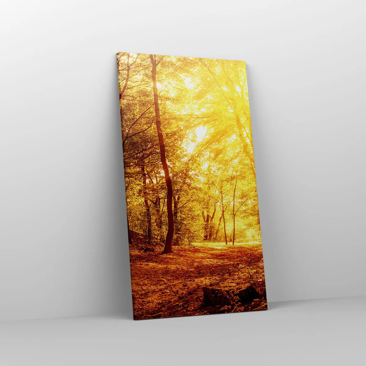 Impression sur toile - Image sur toile - Vers la clairière dorée - 55x100 cm