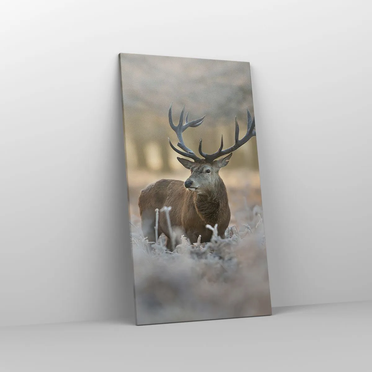 Obraz na płótnie - Rześki poranek - 55x100 cm