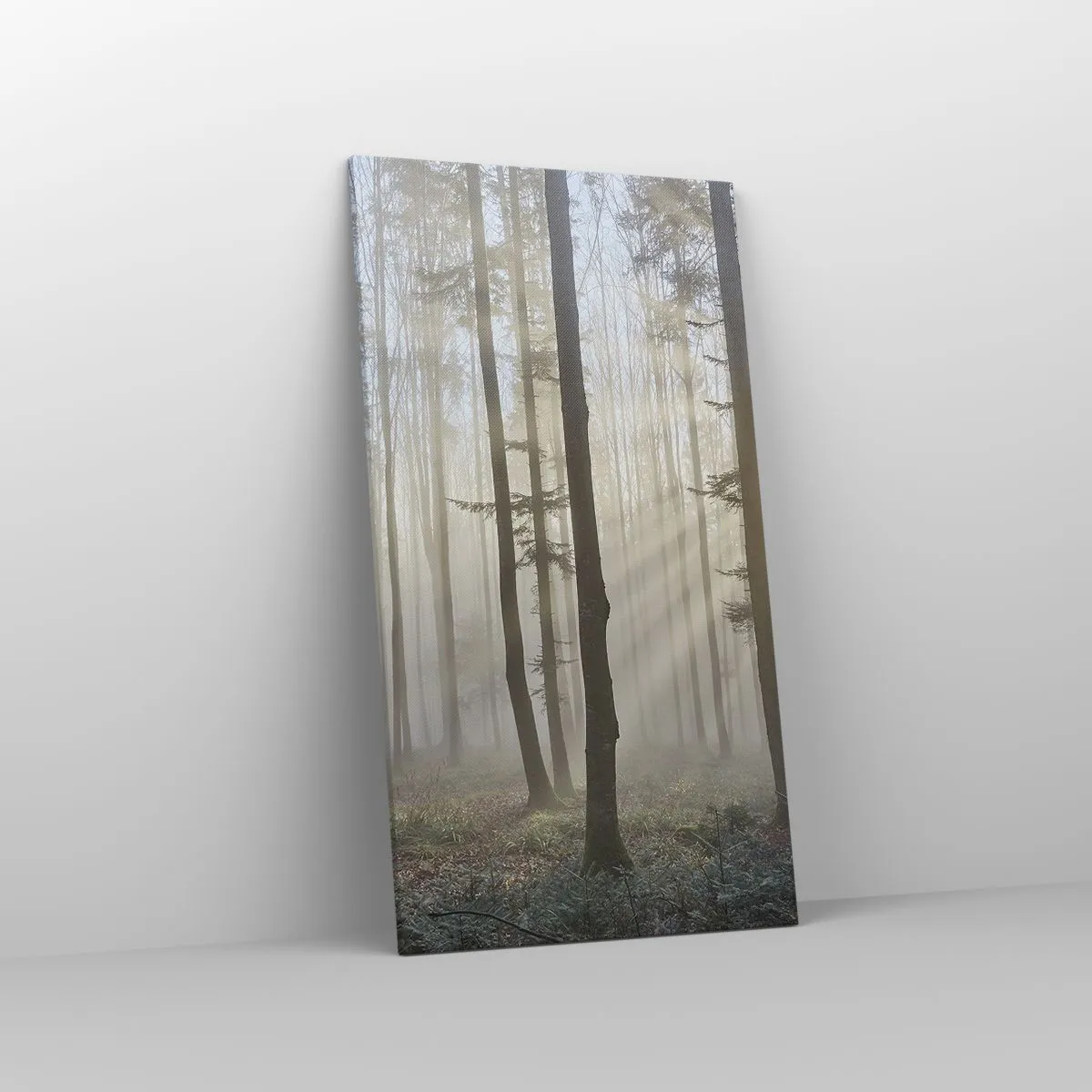 Obraz na plátne - Hmla sa tiež zobudila - 55x100 cm