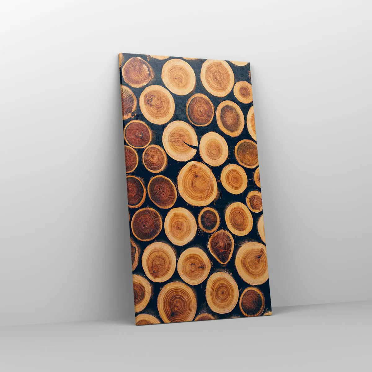 Impression sur toile - Image sur toile - Quel âge je semble avoir ? - 55x100 cm