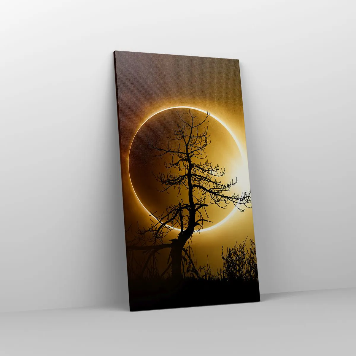 Lærredstryk - Billede på lærred - Total formørkelse - 55x100 cm