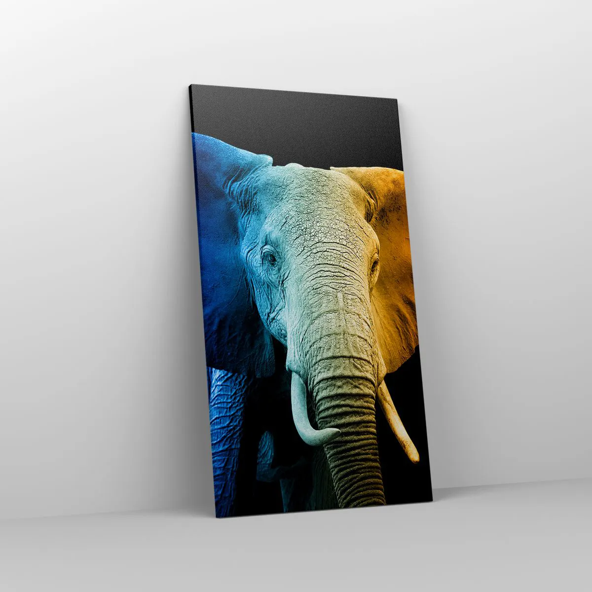 Vászonkép - Excentrikus, nem különc - 55x100 cm