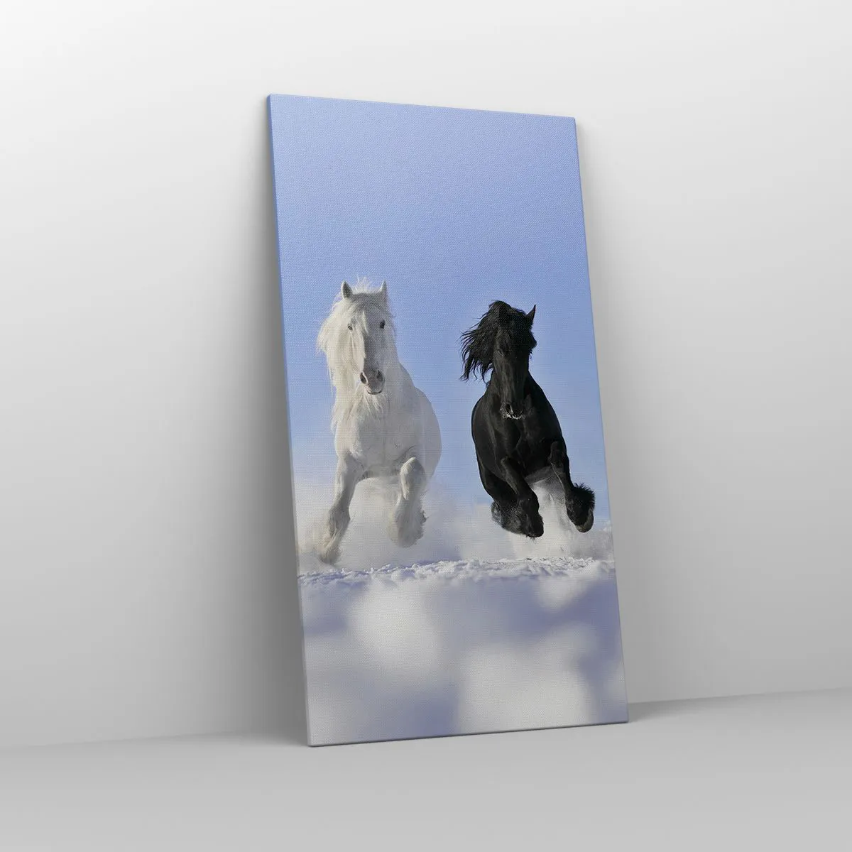 Impression sur toile - Image sur toile - Galop noir et blanc - 65x120 cm