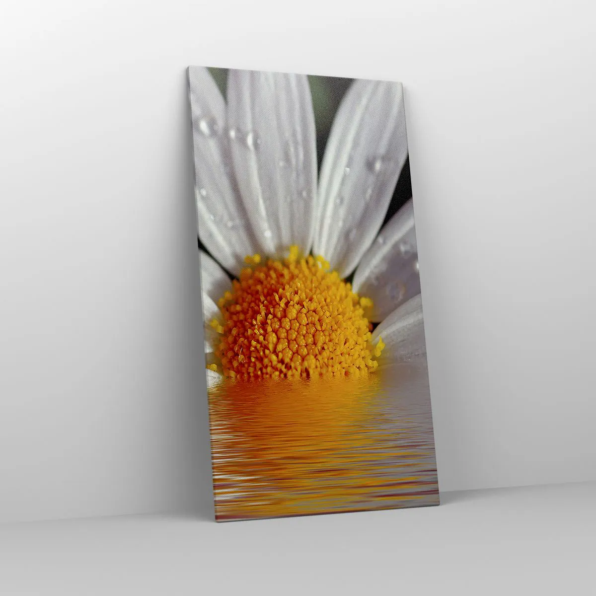 Bild auf Leinwand - Leinwandbild - Die aufgehende Sonne der Gänseblümchen - 65x120 cm