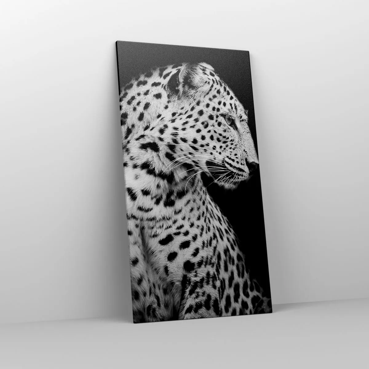 Impression sur toile - Image sur toile - Presque un profil parfait! - 65x120 cm