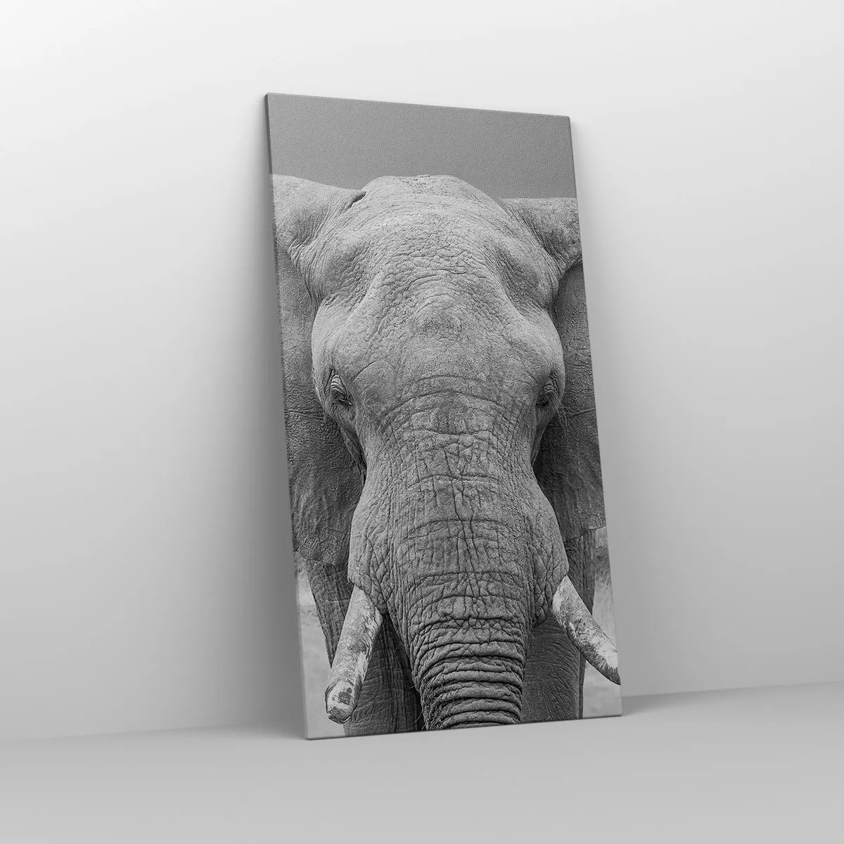 Impression sur toile - Image sur toile - Bienvenue dans mon monde - 65x120 cm