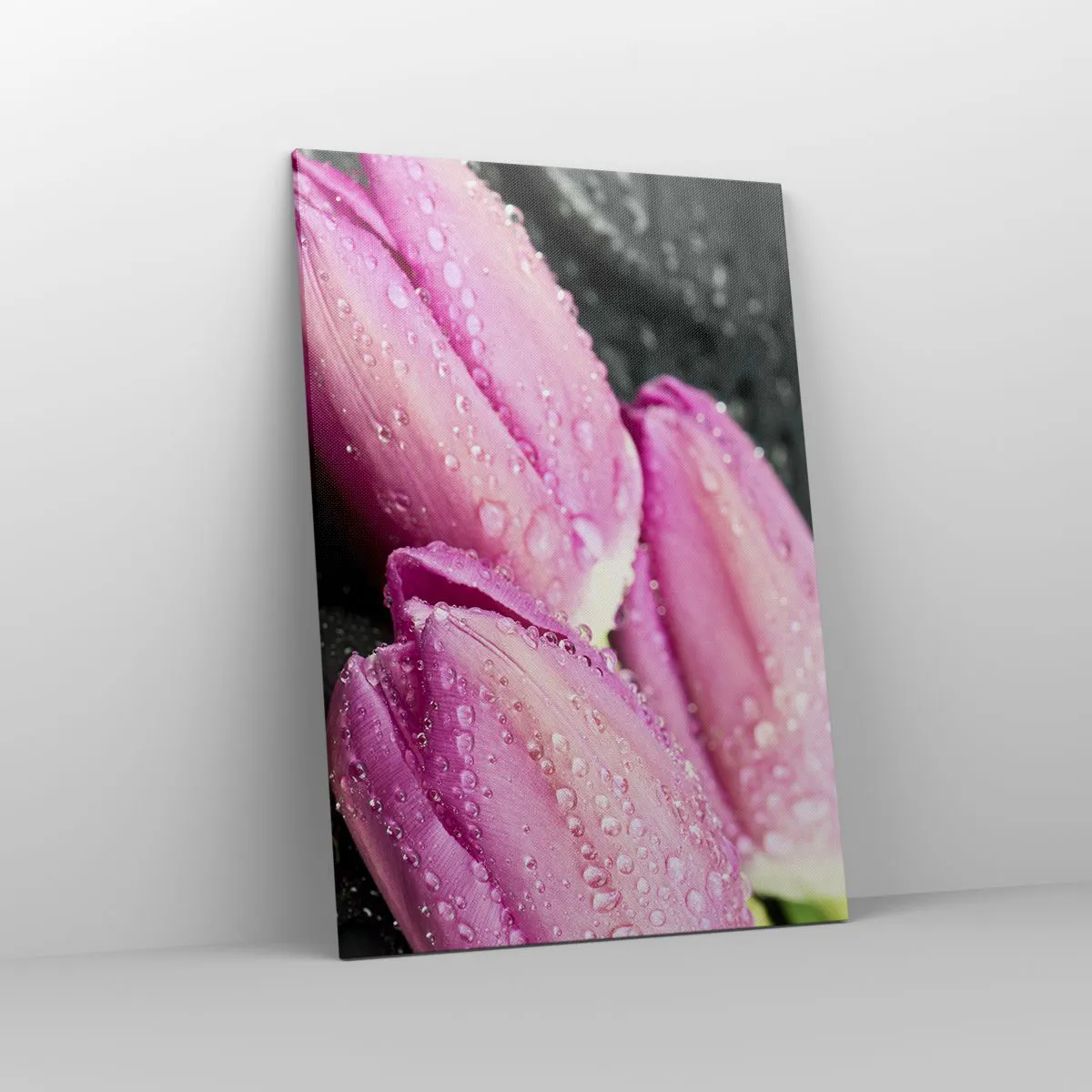 Bild auf Leinwand - Leinwandbild - Drei rosa Tulpen mit Wassertropfen auf schwarzem Hintergrund - 70x100cm - Liladrei auf schwarzem Stein - Moderne Wanddekoration für Wohnzimmer und Schlafzimmer ARTTOR