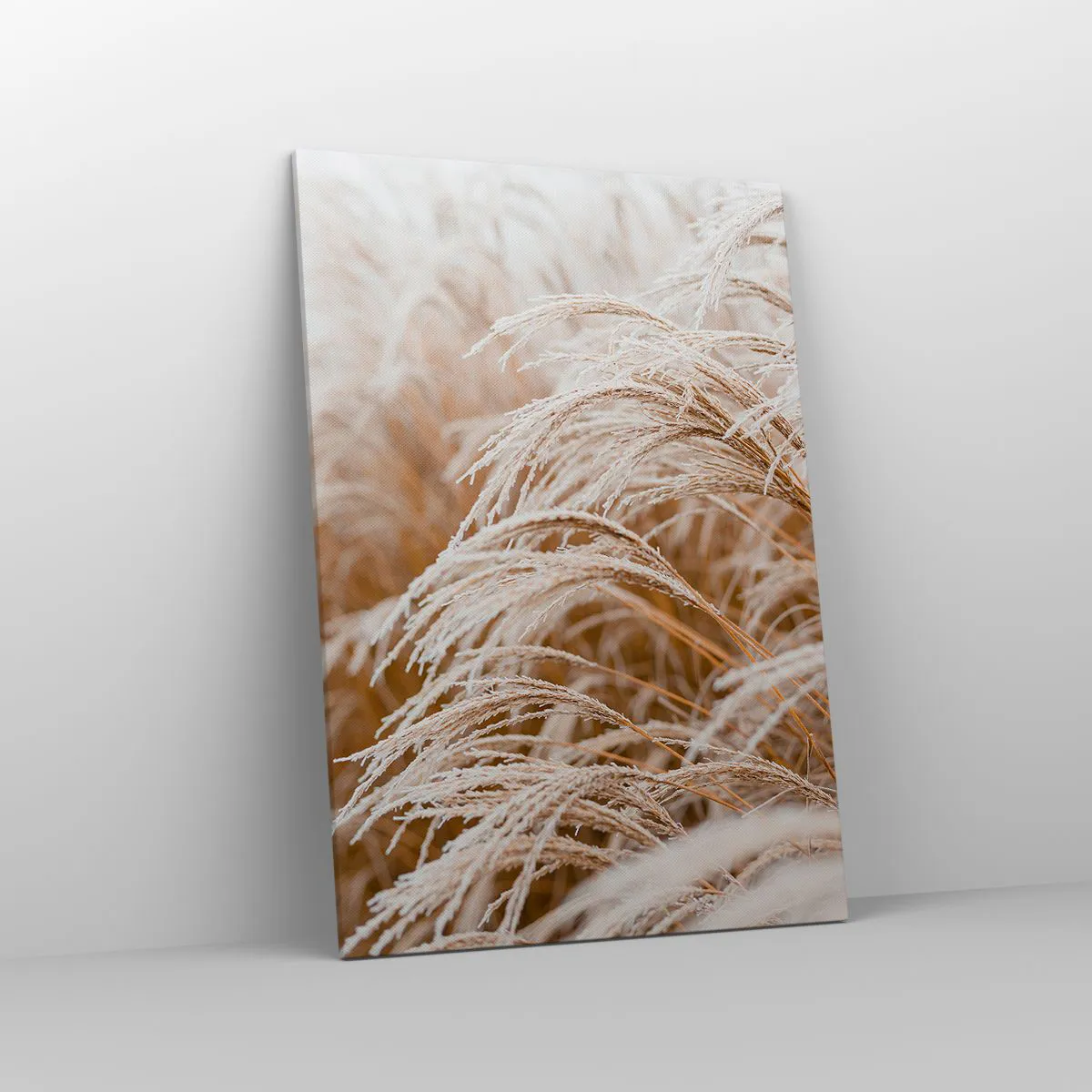 Obraz na płótnie - Suszone trawy pokryte delikatnym szronem w jesiennym świetle - 70x100cm - Pokłon jesiennemu słońcu - Nowoczesna dekoracja ścienna do salonu i sypialni ARTTOR