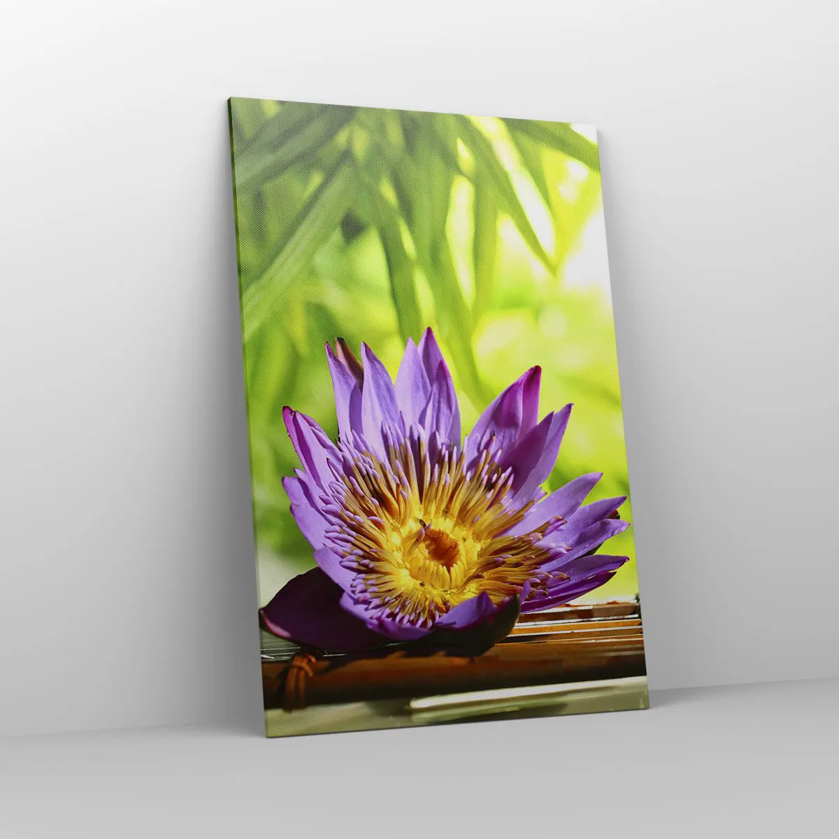 Bild auf Leinwand - Leinwandbild - Lila Lotusblüte vor einem Hintergrund aus grünen Bambusblättern - 80x120cm - In der asiatischen Sonne - Moderne Wanddekoration für Wohnzimmer und Schlafzimmer ARTTOR