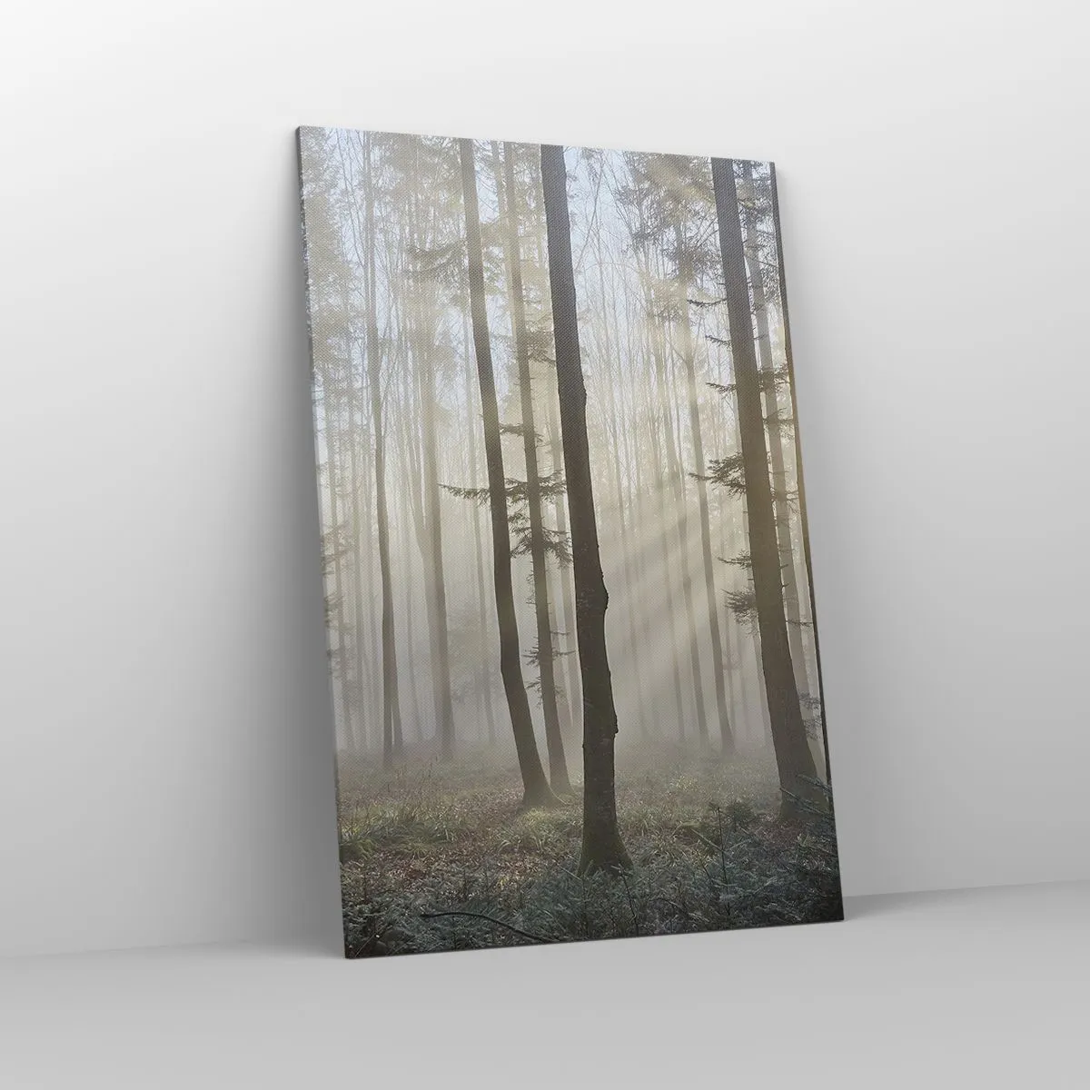 Obraz na plátně - Mlha se také vzbudila - 80x120 cm