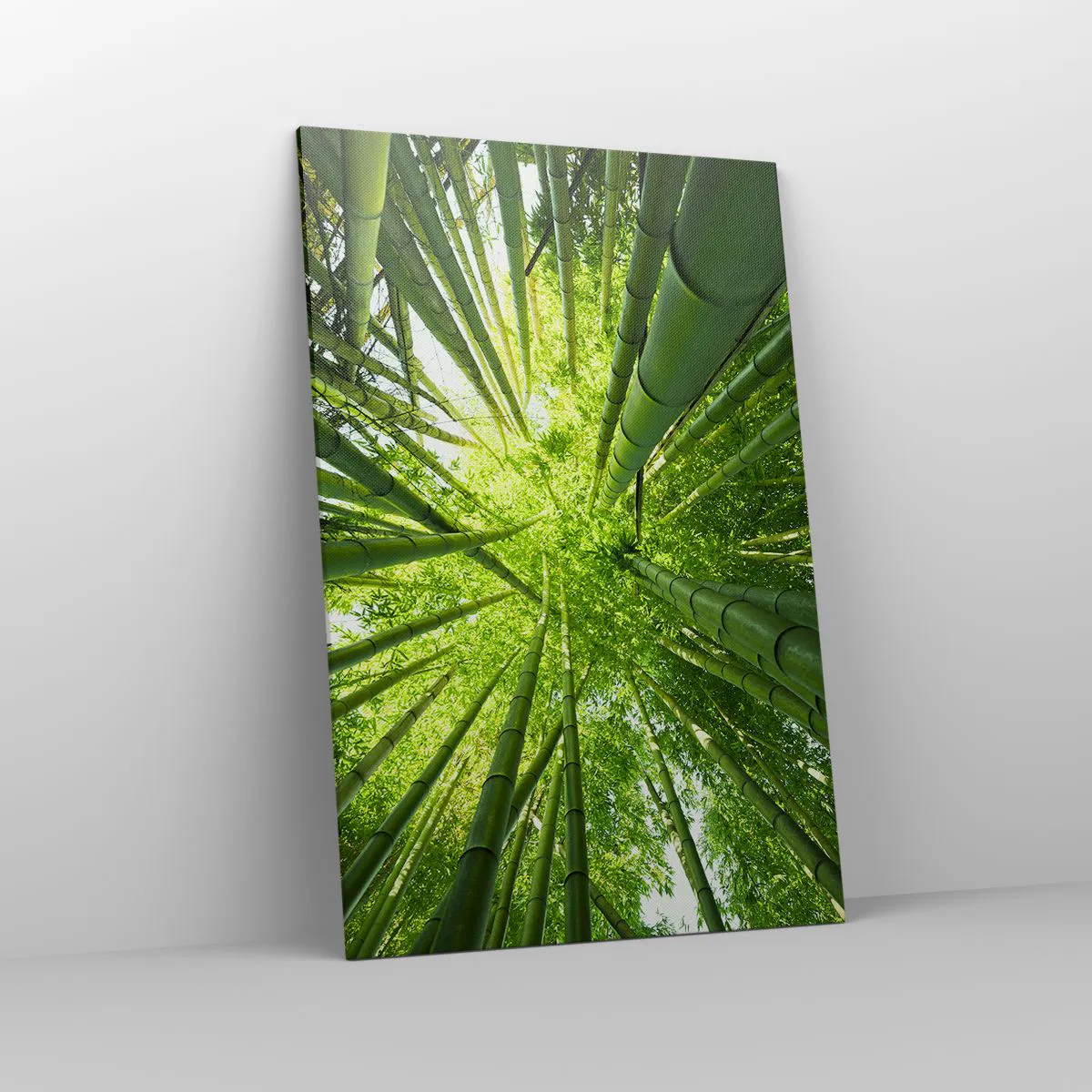 Cuadro sobre lienzo - Impresión de Imagen - Vista hacia arriba a través de un bosque de bambú verde. - 80x120cm - En un bosquecillo de bambú - Decoración de pared moderna para salón y dormitorio ARTTOR