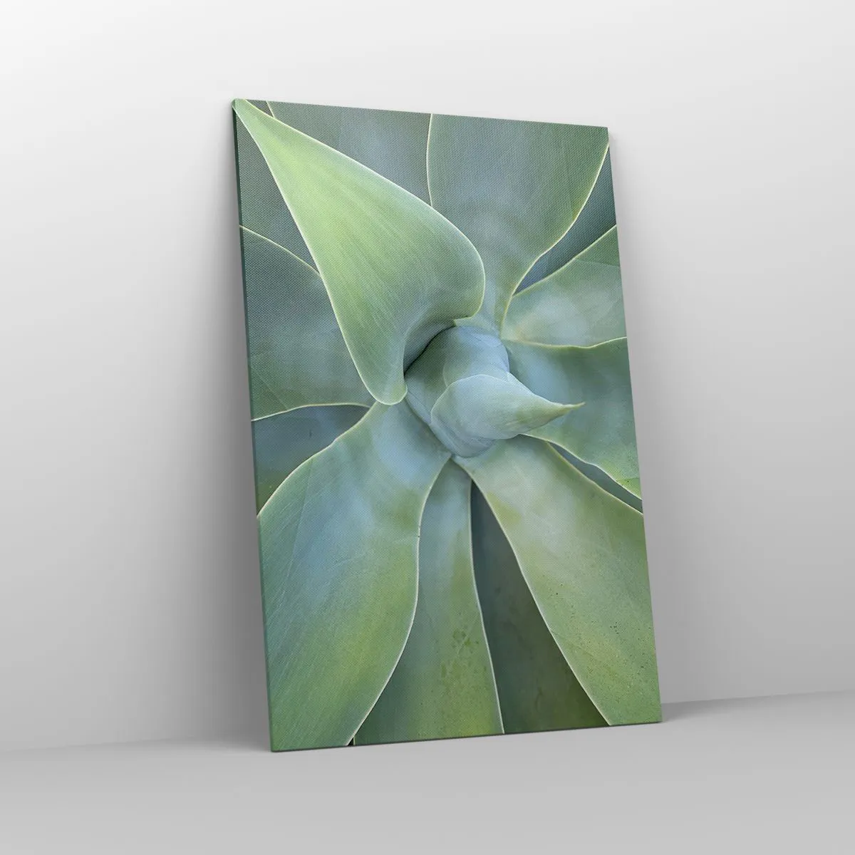 Obraz na płótnie - Subtelne liście agawy w odcieniach zieleni - 80x120cm - Narodziny zieleni - Nowoczesna dekoracja ścienna do salonu i sypialni ARTTOR