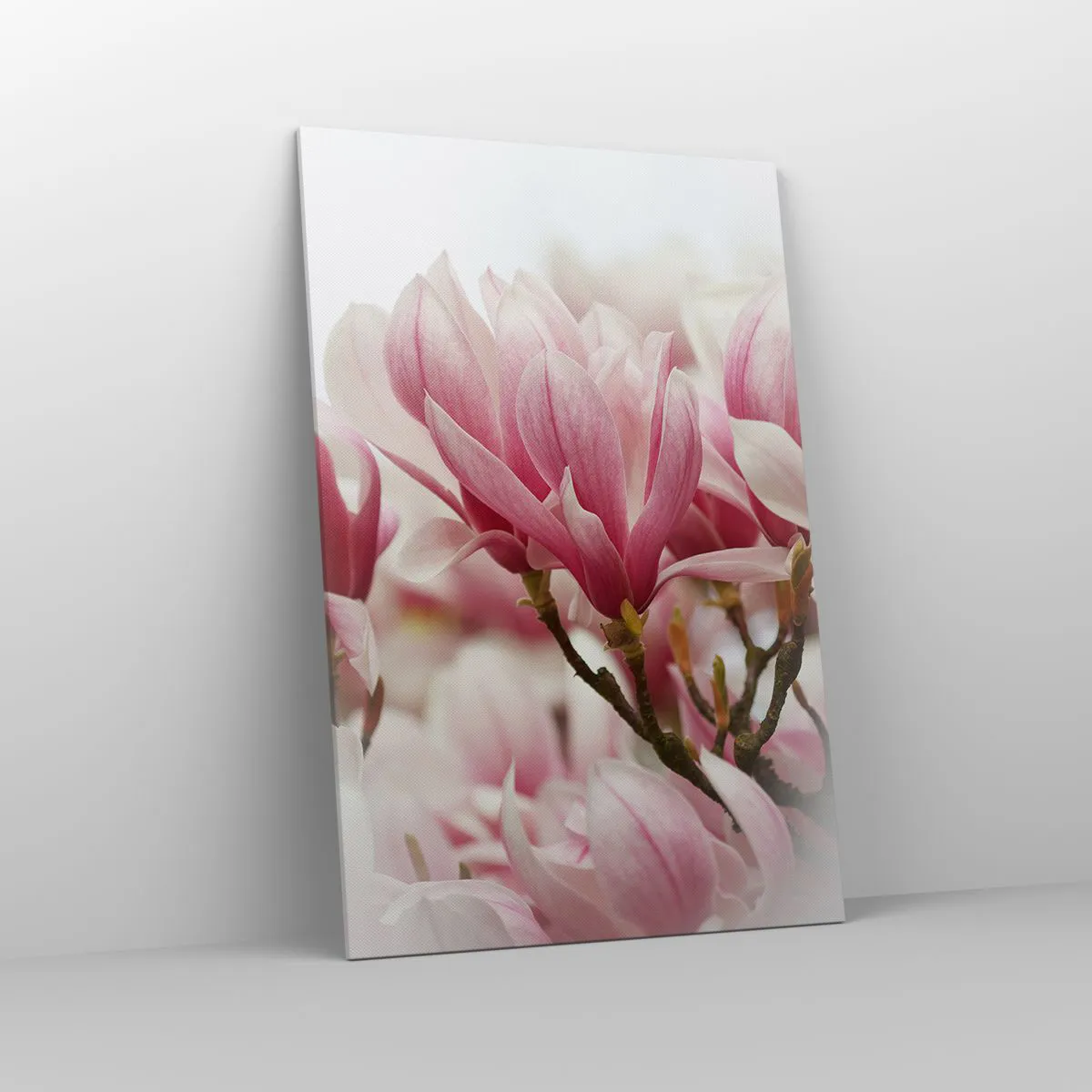 Obraz na płótnie - Delikatne różowe magnolie w pełnym rozkwicie na rozmytym tle - 80x120cm - Kwiaty wiosny - Nowoczesna dekoracja ścienna do salonu i sypialni ARTTOR