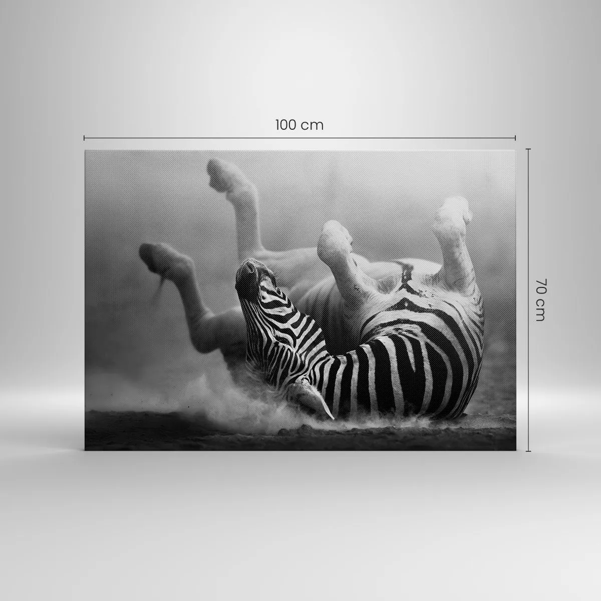 Bild auf Leinwand - Leinwandbild - Ein schwarz-weißes Zebra rollt im Sand - 100x70cm - Nicht nur das Pferd würde lachen - Moderne Wanddekoration für Wohnzimmer und Schlafzimmer ARTTOR