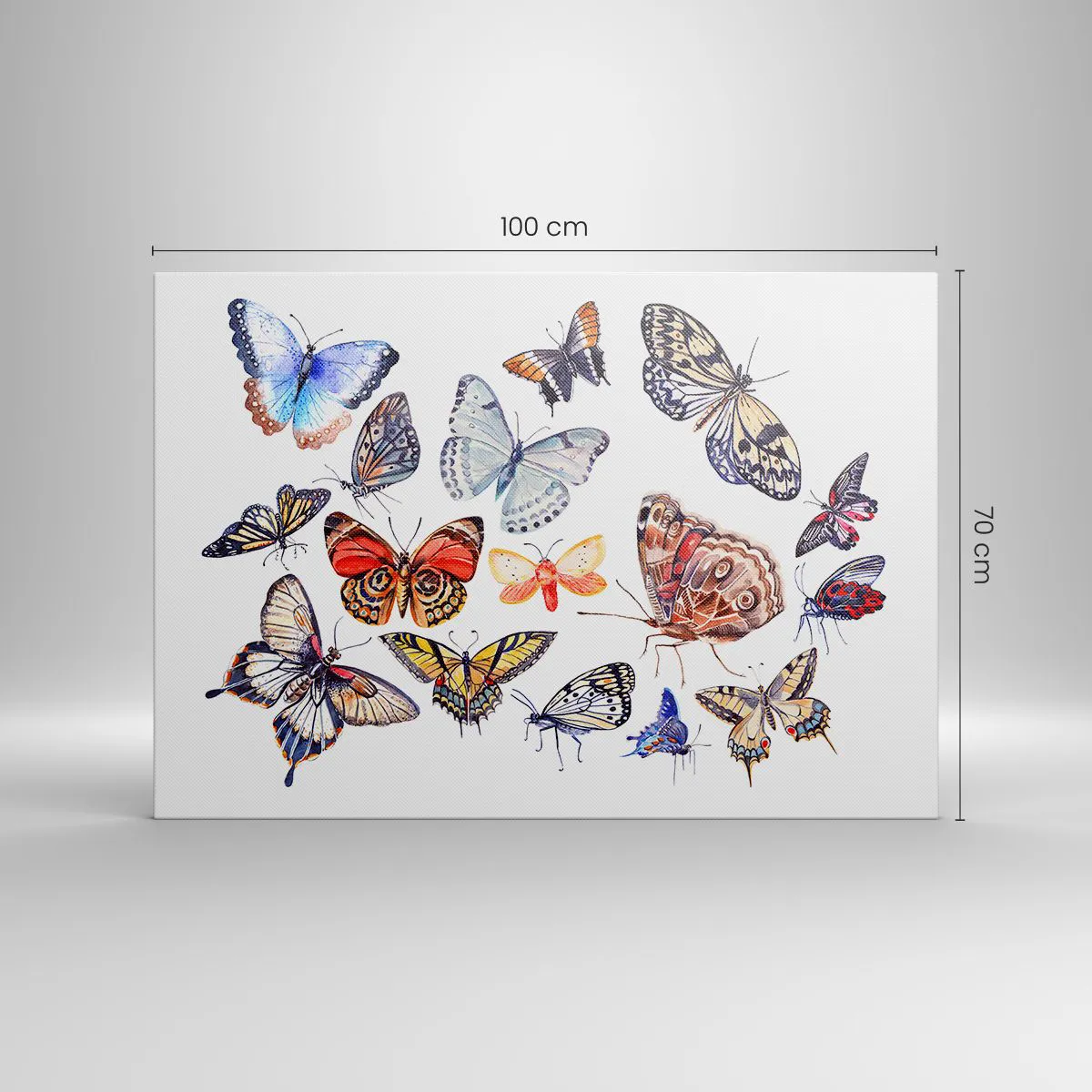 Vászonkép - Csipkés, színes raj - 100x70 cm