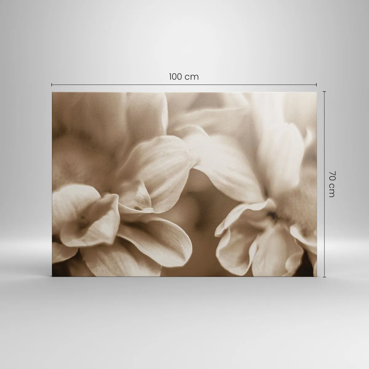 Quadro su tela - Stampe su Tela - Primo piano di fiori in una delicata tonalità seppia con contorni morbidi - 100x70cm - Mite come un sorriso - Decorazione murale moderna per soggiorno e camera da letto ARTTOR