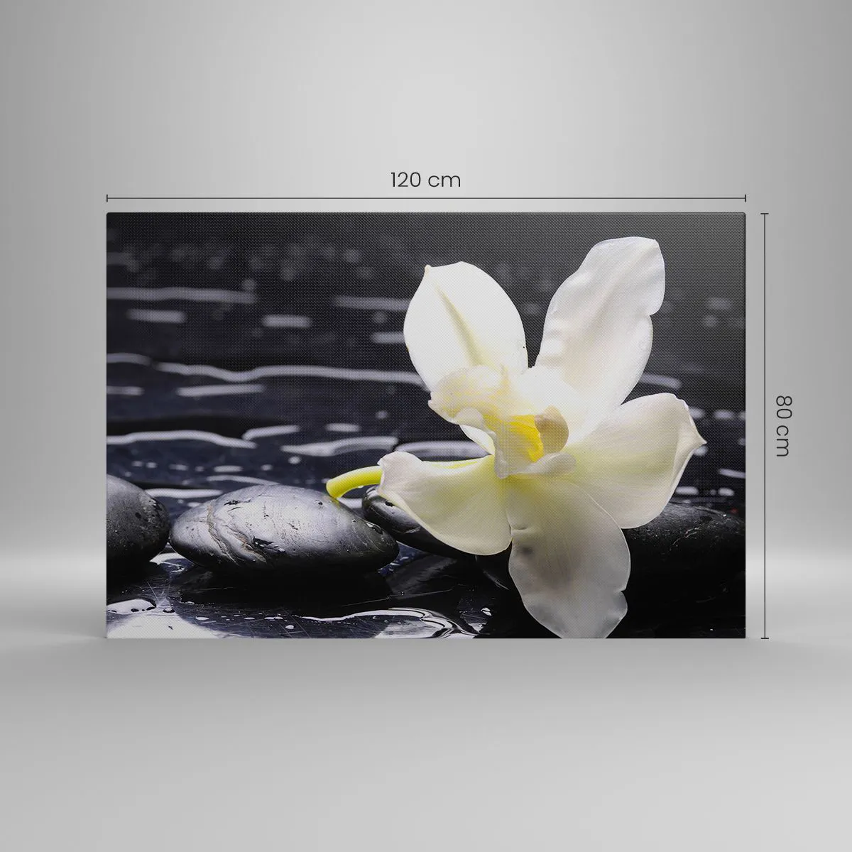 Obraz na plátne - Štúdia v čiernej a bielej - 120x80 cm