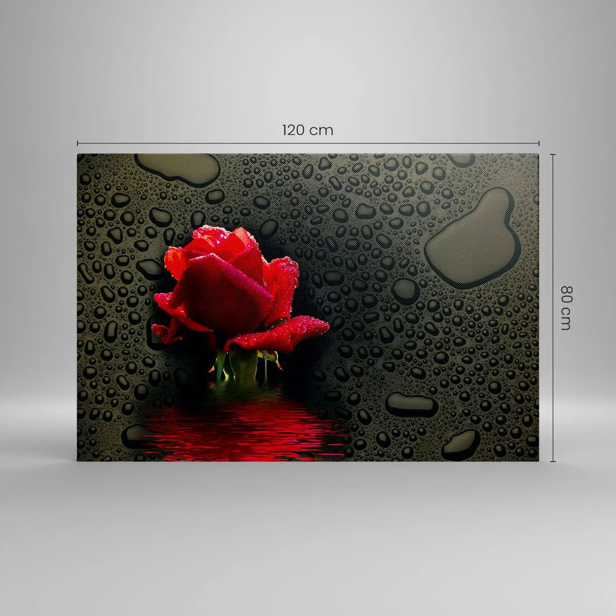 Impression sur toile - Image sur toile - Rose rouge avec des gouttes d'eau sur un fond sombre - 120x80cm - Rouge et noir - Décoration murale moderne pour le salon et la chambre ARTTOR