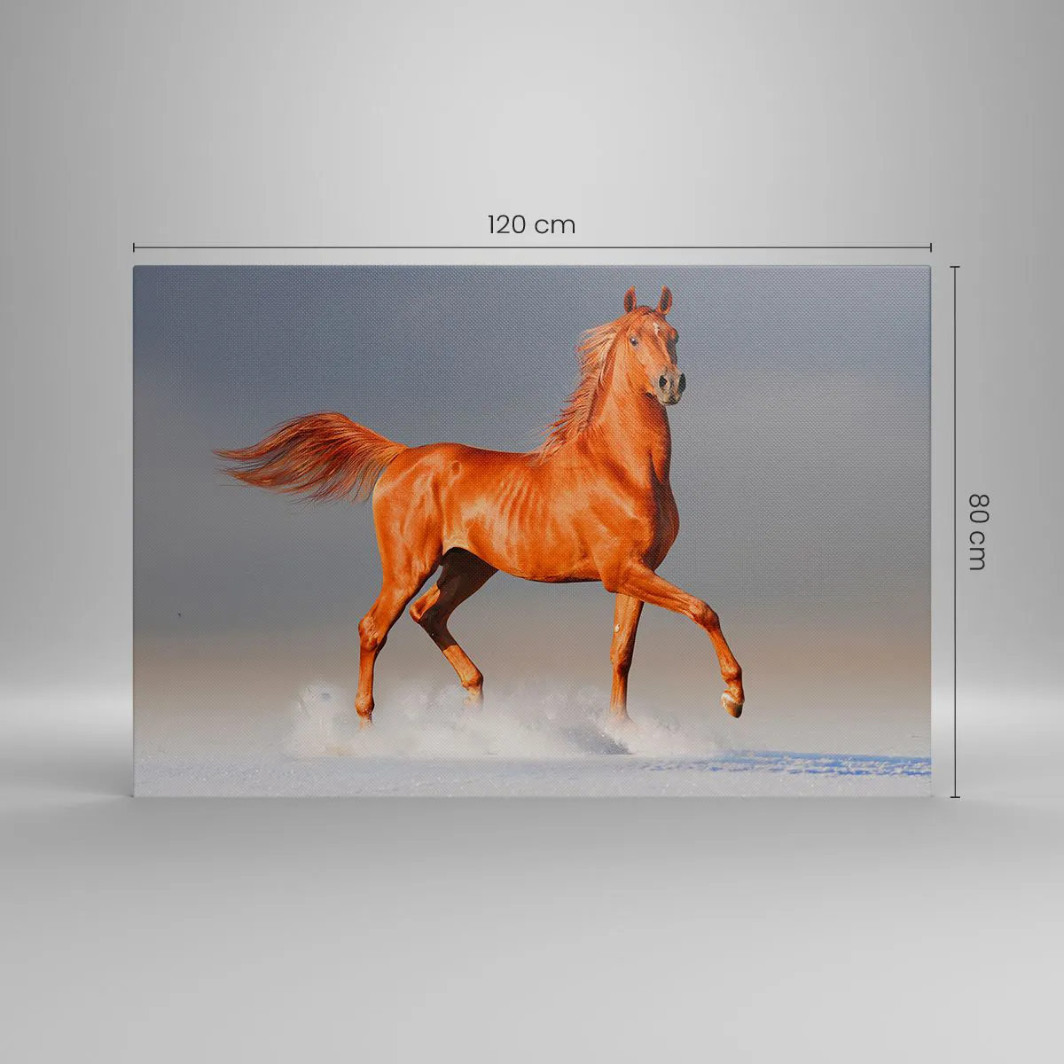 Canvas picture - Dancing Grace - 120x80 cm