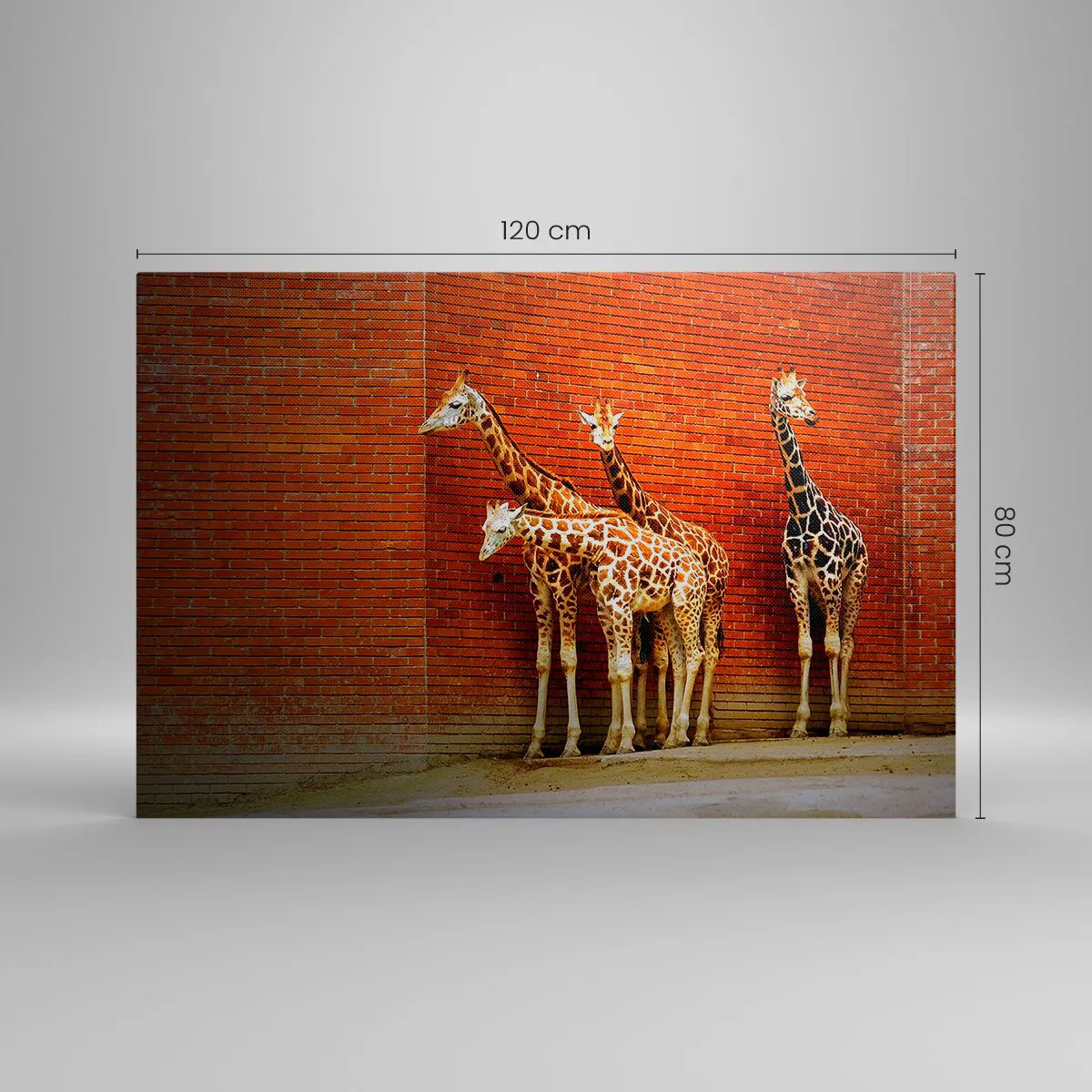 Cuadro sobre lienzo - Impresión de Imagen - Cuatro jirafas contra una pared de ladrillos en un entorno artístico. - 120x80cm - ¿Ves alguna acacia? - Decoración de pared moderna para salón y dormitorio ARTTOR