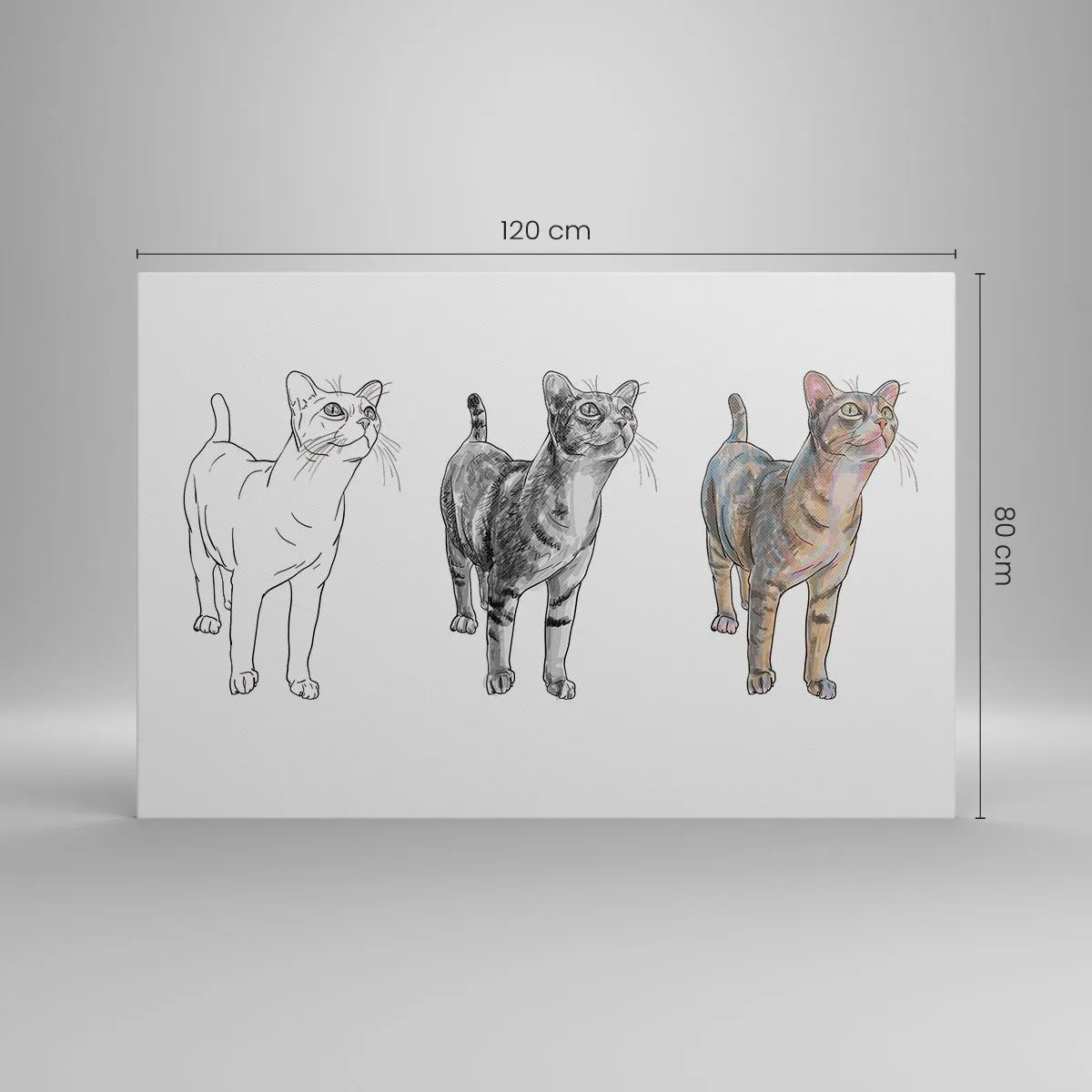 Obraz na płótnie - Ewolucja rysunku kota od szkicu do kolorowej formy - 120x80cm - Lekcja rysunku - Nowoczesna dekoracja ścienna do salonu, kuchni i sypialni ARTTOR