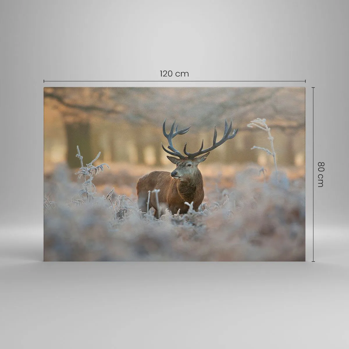 Quadro su tela - Stampe su Tela - Un cervo in una radura gelida in una foresta invernale dai colori tenui - 120x80cm - Fresco mattino - Decorazione murale moderna per soggiorno e camera da letto ARTTOR