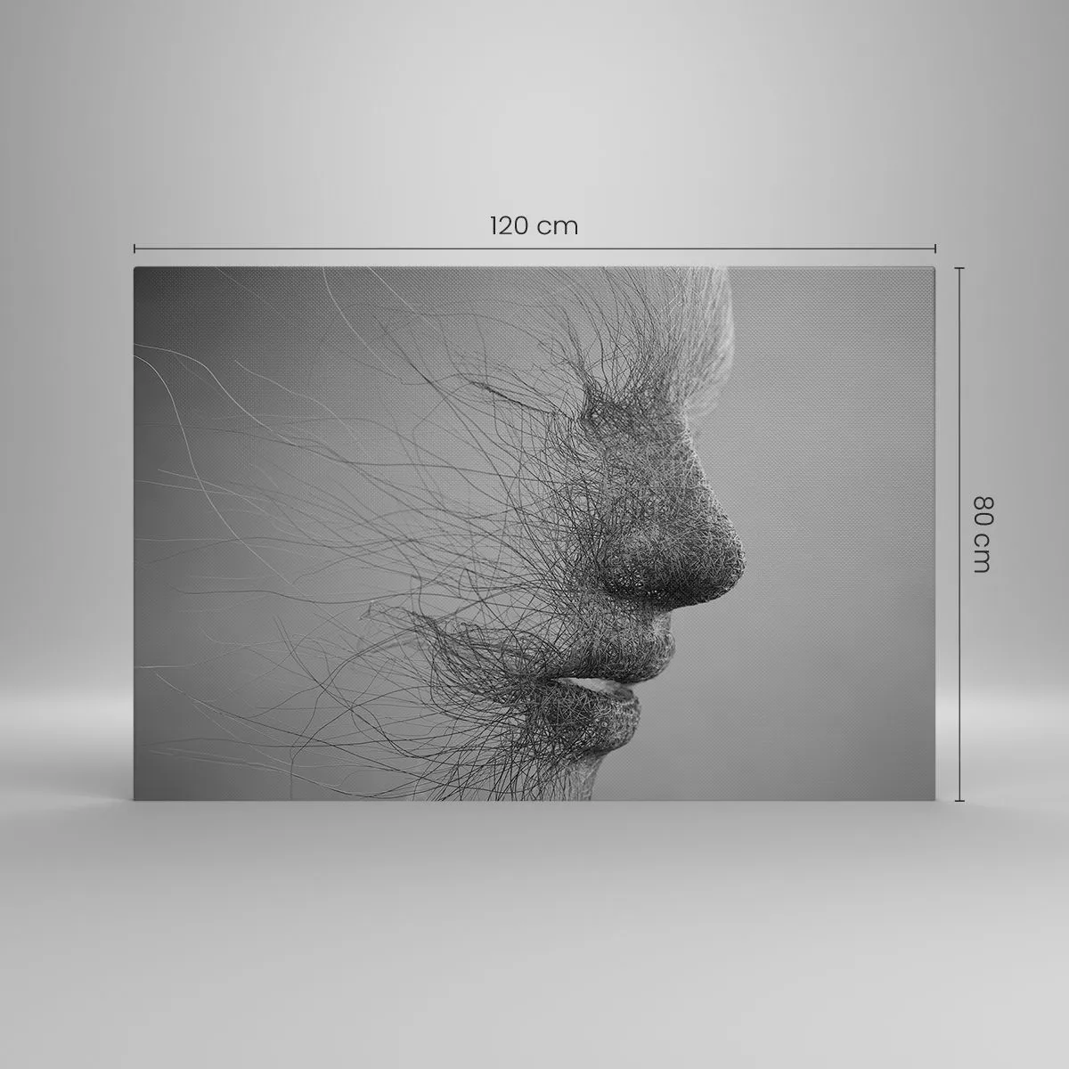 Impression sur toile - Image sur toile - Profil facial artistique créé avec des lignes délicates - 120x80cm - L'esprit du vent - Décoration murale moderne pour le salon et la chambre ARTTOR