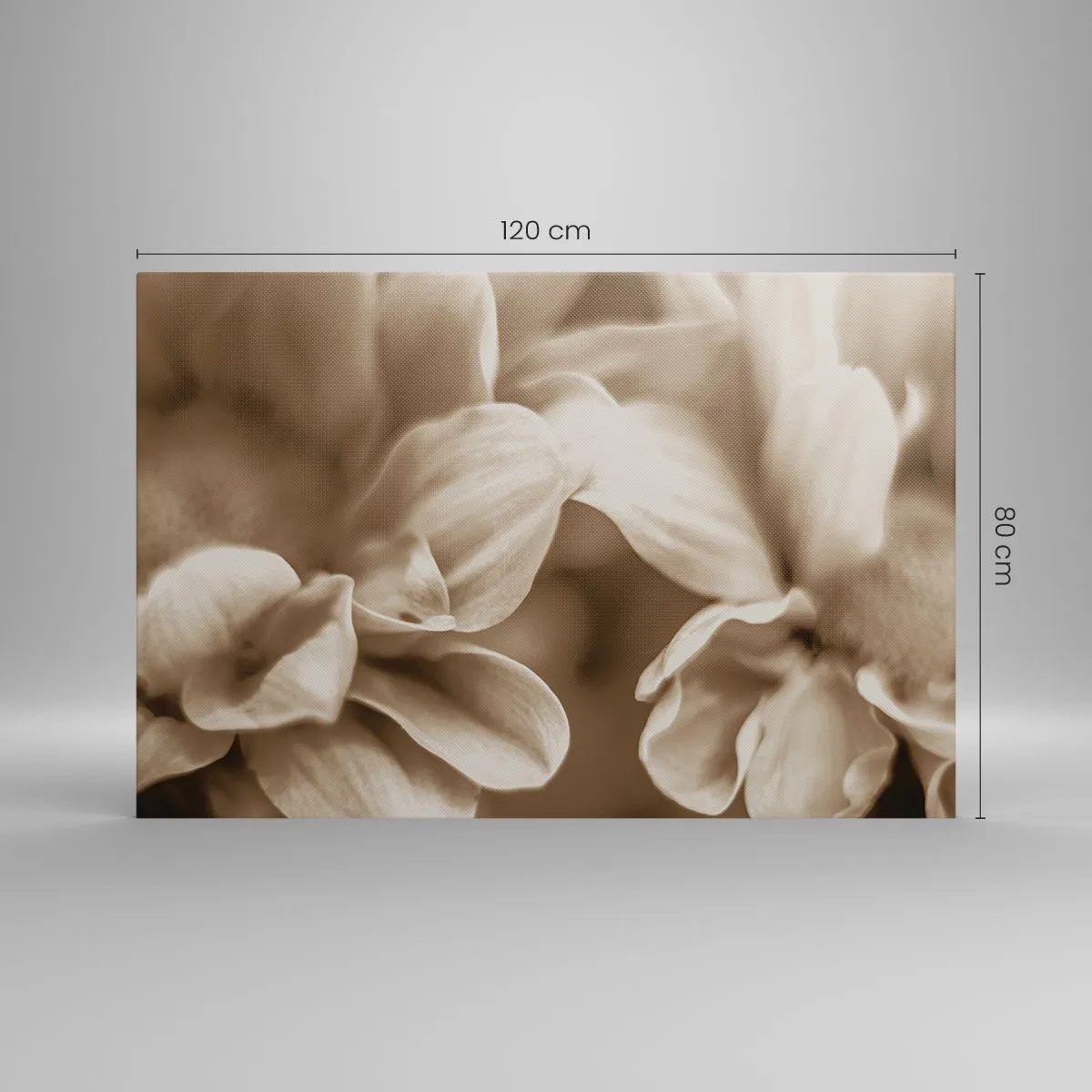 Impression sur toile - Image sur toile - Gros plan de fleurs dans un ton sépia délicat avec des contours doux - 120x80cm - Doux comme un sourire - Décoration murale moderne pour le salon et la chambre ARTTOR
