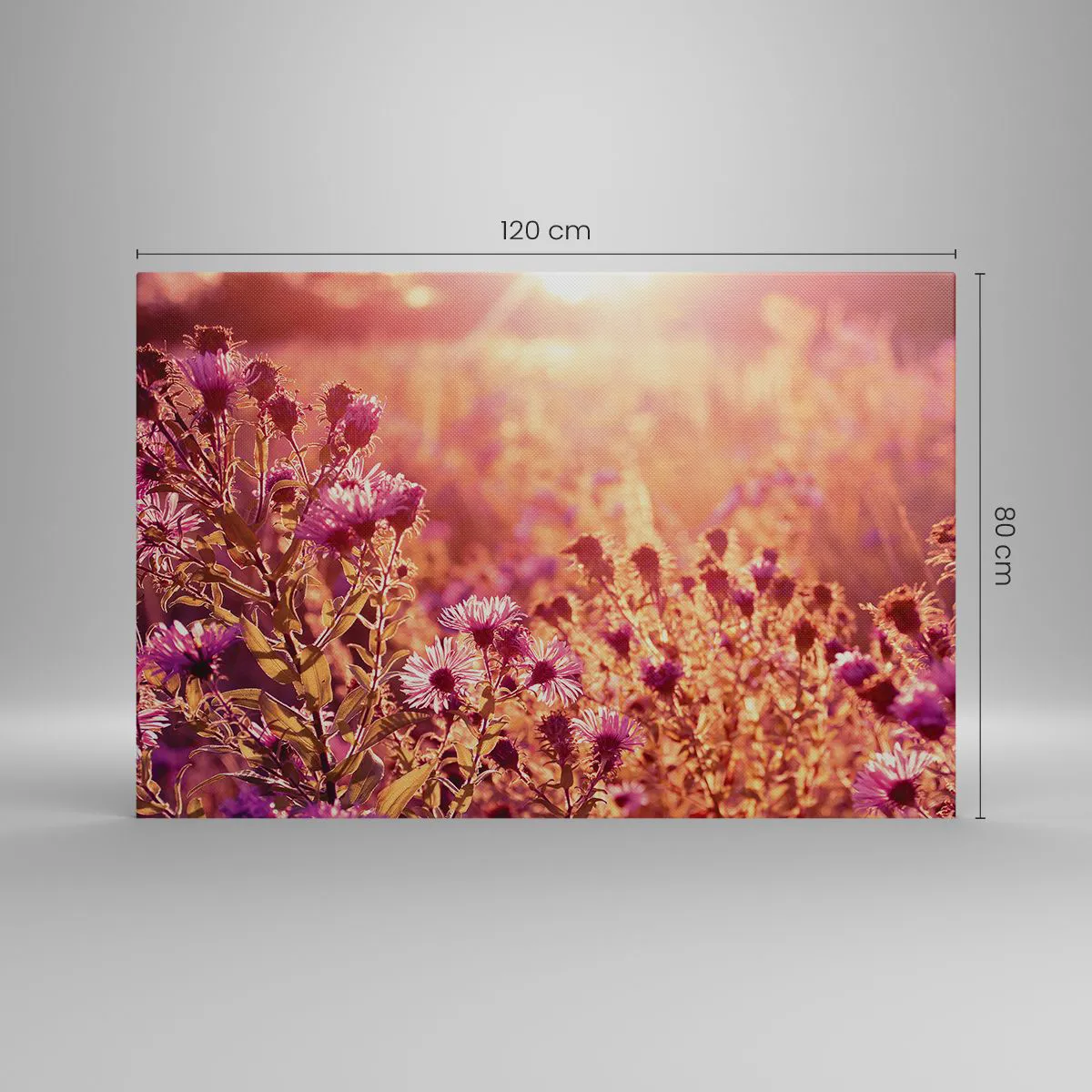 Obraz na płótnie - Łąka w świetle zachodzącego słońca - 120x80cm - Przed odejściem lata - Nowoczesna dekoracja ścienna do salonu, kuchni i sypialni ARTTOR