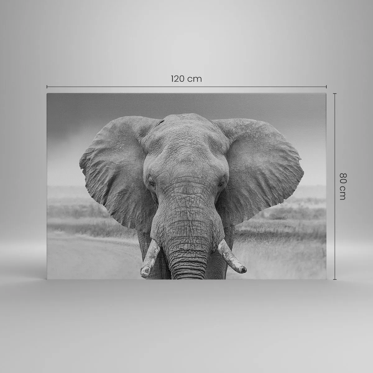 Obraz na plátně - Vítejte v mém světě - 120x80 cm