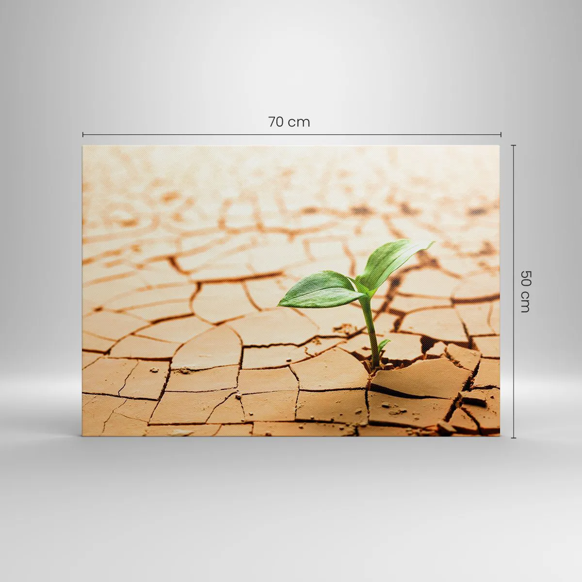 Canvas picture - A green plant growing out of dry, cracked earth - 70x50cm - Untamed Life Force - Modern wall decoration for the living room and bedroom ARTTOR
