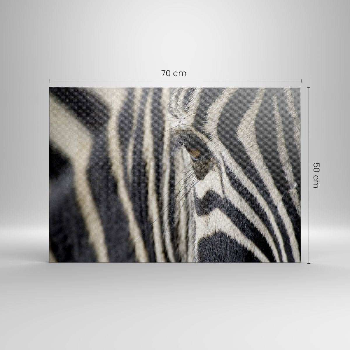 Set de 3 cuadros de animales fotoimpresos sobre lienzo en blanco y negro de  50x70 cm