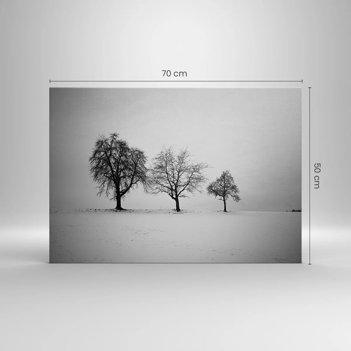 Quadro em tela - Três árvores em um campo nevado em estilo monocromático - 70x50cm - Com que sonham elas? - Decoração de parede moderna para a sala de estar e quarto ARTTOR