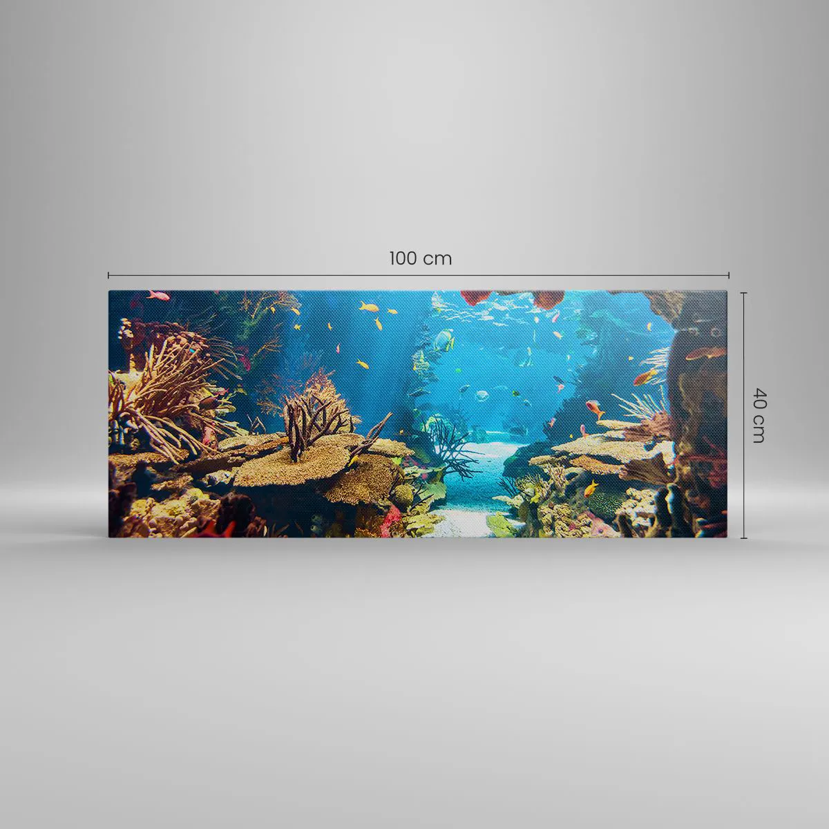 Tablou pe pânză - Nu ai visat la asta - 100x40 cm